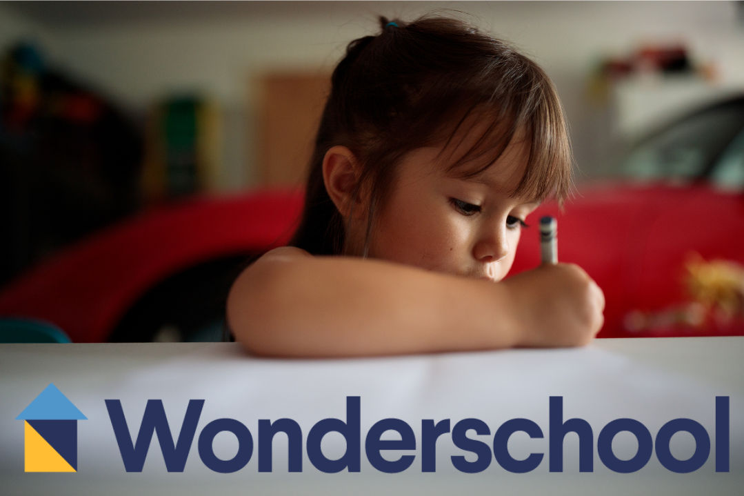 Wonderschool Discovery Call